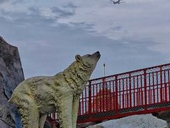 -上海海昌海洋公园-冰山北极馆