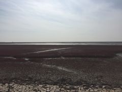 -红海滩国家风景廊道