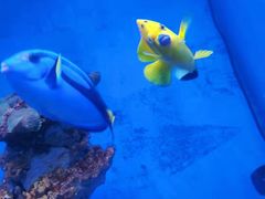 -多彩贵州城极地海洋世界