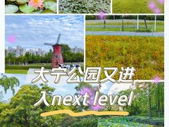 -大宁公园