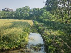 -长兴太湖图影湿地文化园