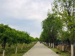 -永定河休闲森林公园