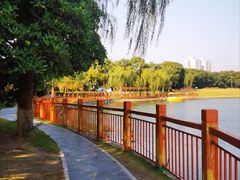 -黄兴公园