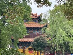 -宝通禅寺