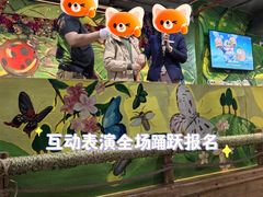 -上海大自然野生昆虫馆(东方明珠·爬宠昆虫探索中心)
