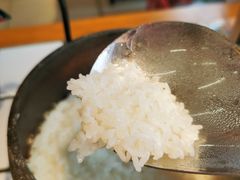 米饭-甲鱼张甲鱼铺子(观沙岭店)