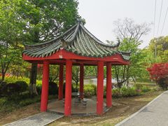-九科绿洲