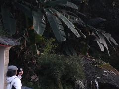 -大理石门关温泉