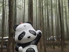 -山王坪喀斯特国家生态公园