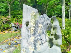 -上海滨江森林公园