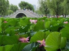 -长春市南湖公园