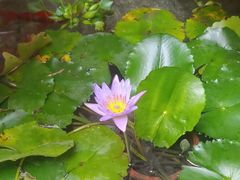 -南堂小馆·川菜馆(德商国际店)