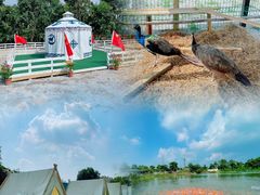 -庭苑美食中心·陈皮烧鹅·海鲜(台山店)