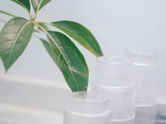 -COTTON CAFE(德信·中外公寓店)