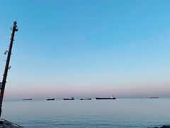 -上海滨江森林公园