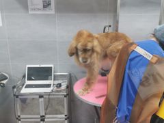-宠福鑫康馨动物医院·骨科·眼科