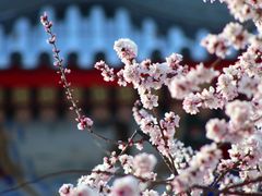 -天坛公园
