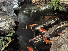 -广州白天鹅宾馆