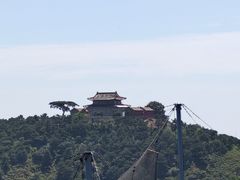 -燕塞湖鸟语林景区