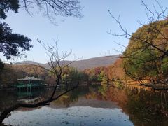 -灵谷景区