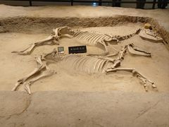 -洛阳周王城天子驾六博物馆