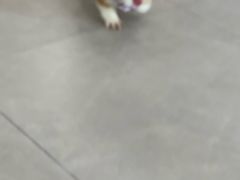 -爱诺耐芙动物医院(万博店)