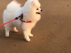 -烟台金沙滩海滨公园