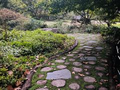 -上海共青森林公园