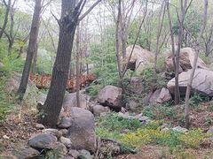 -大岭沟猕猴桃谷风景区