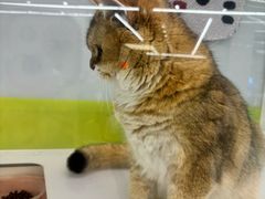 -金鹰(江宁店)