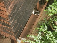 -海玥荟海鲜姿造自助餐厅(欧罗巴广场店)