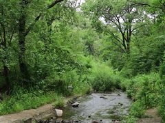 -白水寺森林公园