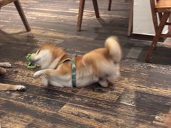 -三目仓咖啡(贤南路店)
