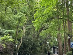 -浙江西子宾馆·瑶园咖啡厅