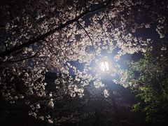 -Beans Solo豆号咖啡(百家湖花园店)