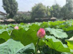 -莫催咖啡
