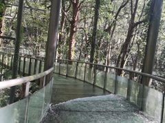 -富春桃源风景区