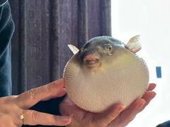 -永安鱼庄·镇江菜(东吴路店)