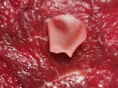 -大妙火锅·非物质文化遗产(东湖公园店)