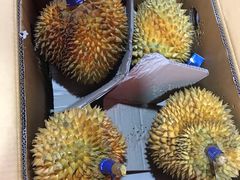 -深圳市海吉星国际农产品物流管理有限公司