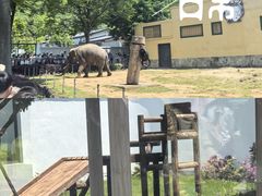 -无锡动物园·太湖欢乐园