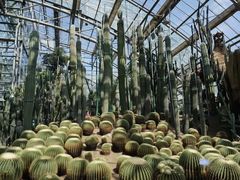 -南山植物园