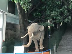 -吉林省自然博物馆