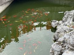 -海宁市观音寺
