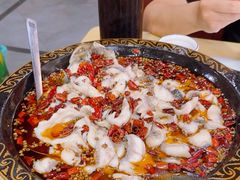 -金三可市井水煮鱼(金碧园店)