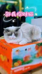 -邵老师打金·黄金加工(大望路总店)