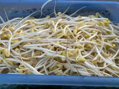 -盐禾堂海南屯昌香草鸭(海润路总店)