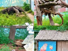 -无锡动物园·太湖欢乐园