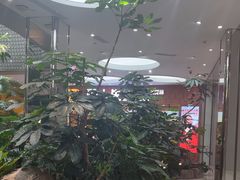 -吕氏疙瘩汤·海鲜新鲁菜(凯德mall新都心店)