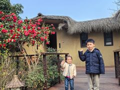 -杭州开元森泊度假乐园